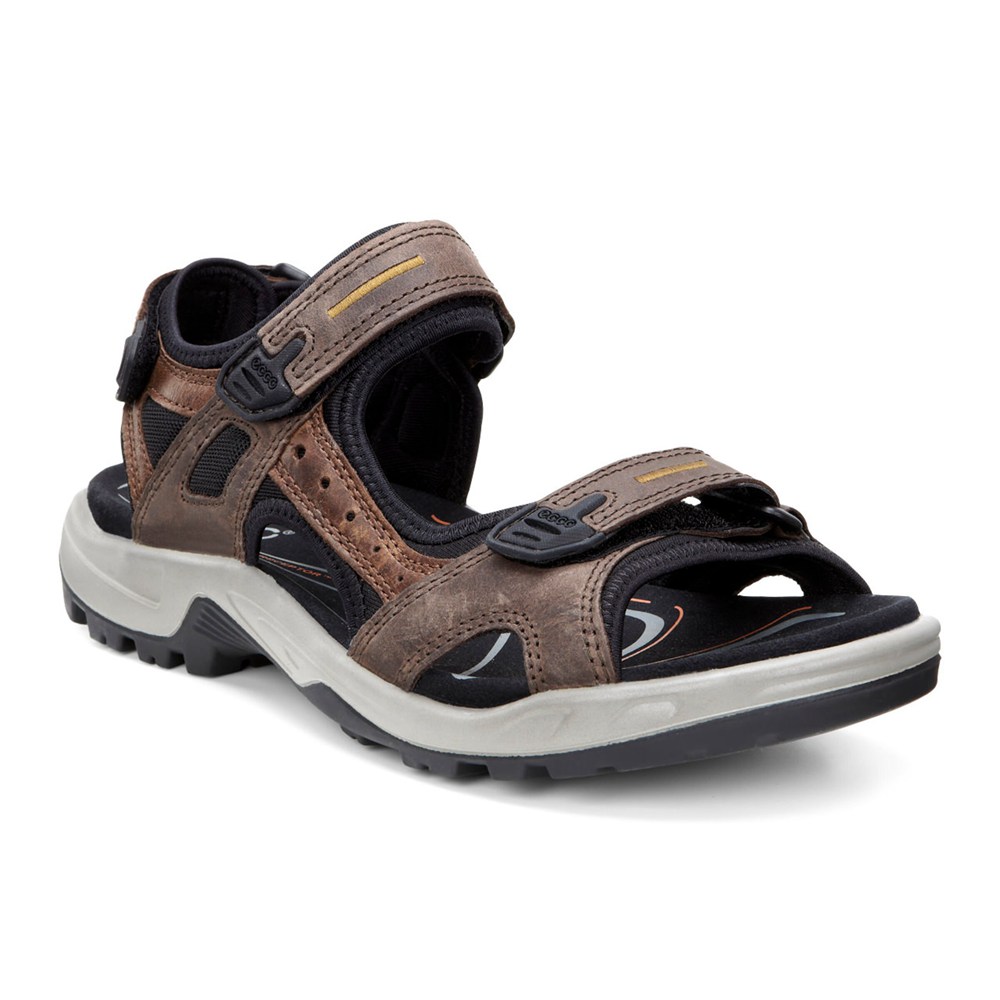 Sandalias Hombre - ECCO Yucatan - Marrom/Negros - WLP016795